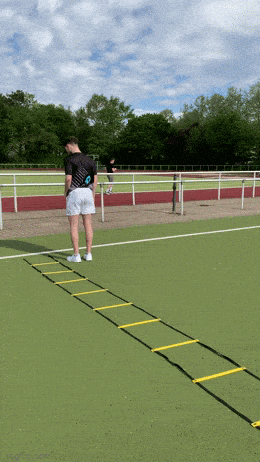 get_fast_ladder_training